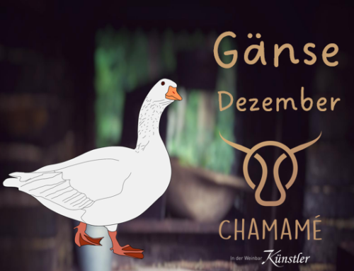 Gänse im Anflug | Zusatztermine Dezember